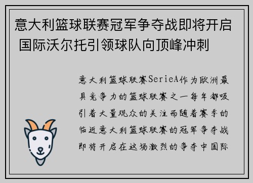 意大利篮球联赛冠军争夺战即将开启 国际沃尔托引领球队向顶峰冲刺