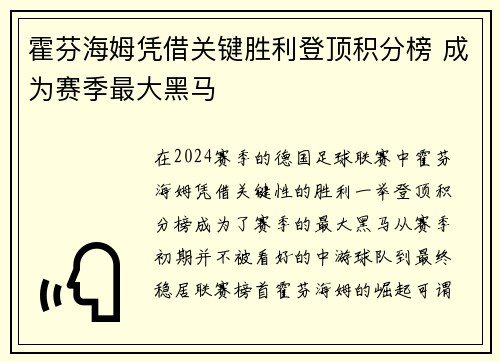 霍芬海姆凭借关键胜利登顶积分榜 成为赛季最大黑马